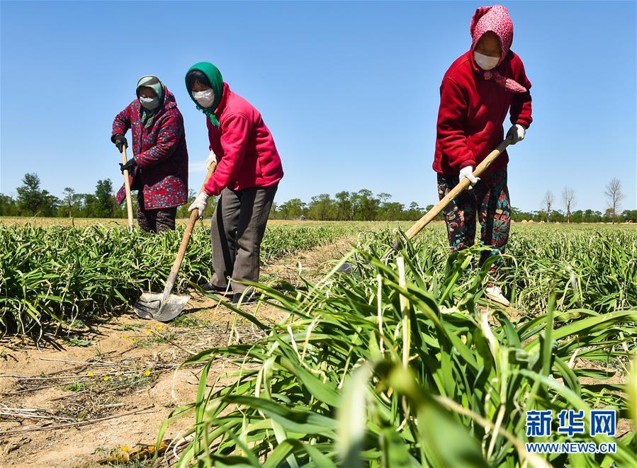 （新华全媒头条·图文互动）（17）从人民中汲取磅礴力量——习近平总书记同出席2020年全国两会人大代表、政协委员共商国是纪实