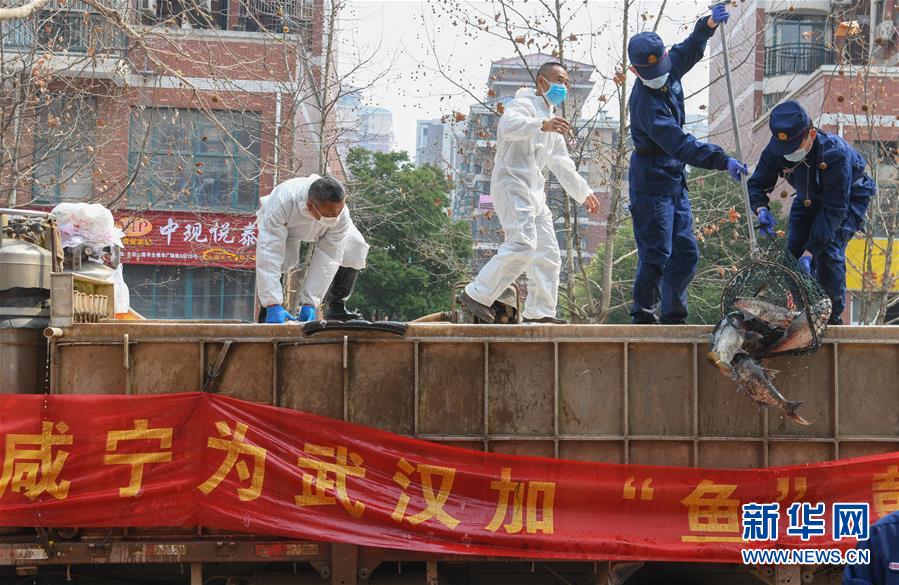 （新华全媒头条·图文互动）（12）从人民中汲取磅礴力量——习近平总书记同出席2020年全国两会人大代表、政协委员共商国是纪实